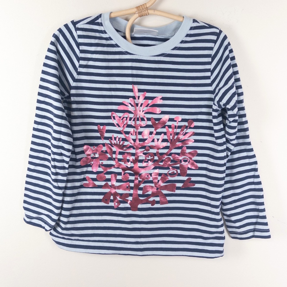 Hanna Andersson Long Sleeve Tee Kids Size 5 Blue Striped Metallic Pink Floral